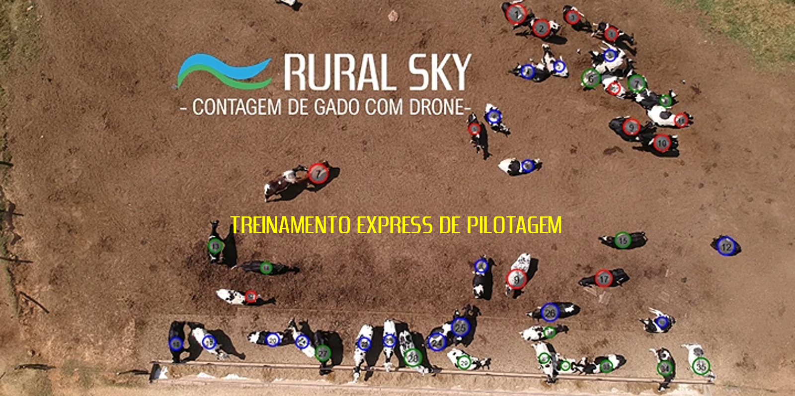 Capa-Rural-Sky-PILOTAGEM-EXPRESS.png